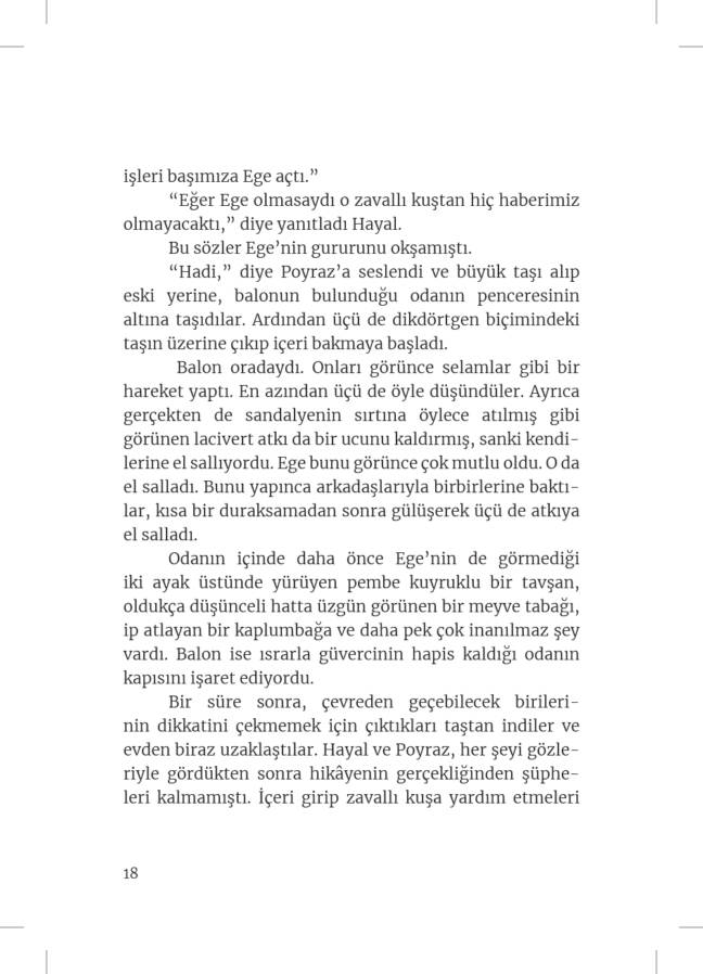 Hoşluklar Evi - Görsel 13