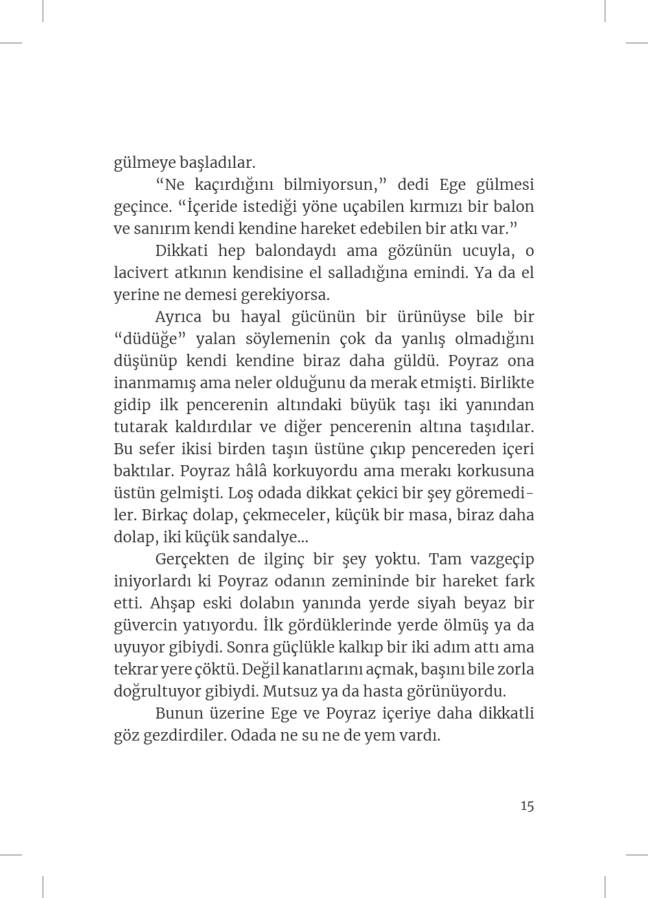 Hoşluklar Evi - Görsel 10